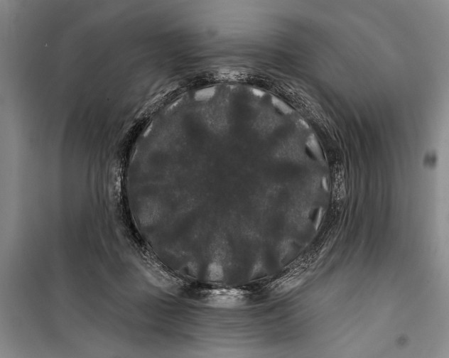 X0000100200363200806131235