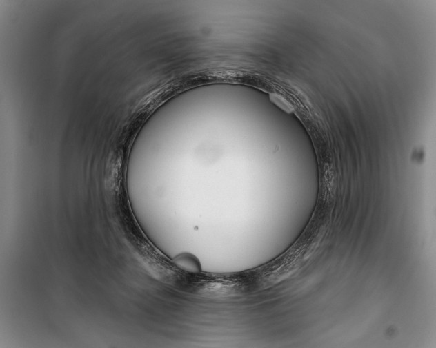 X0000100200364200806131235