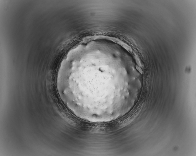 X0000100200366200806131235