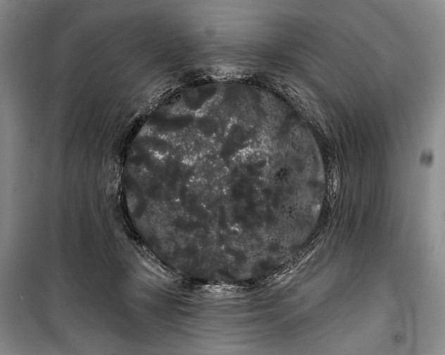 X0000100200367200806131235