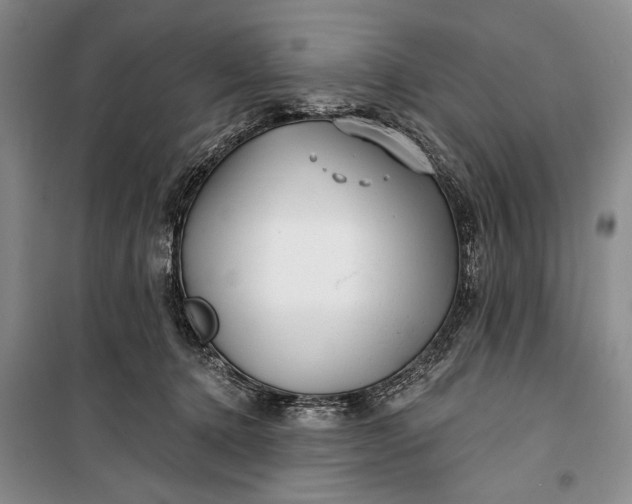 X0000100200368200806131235