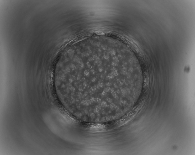 X0000100200369200806131235