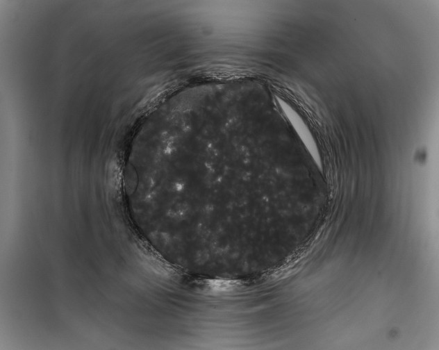 X0000100200371200806131235