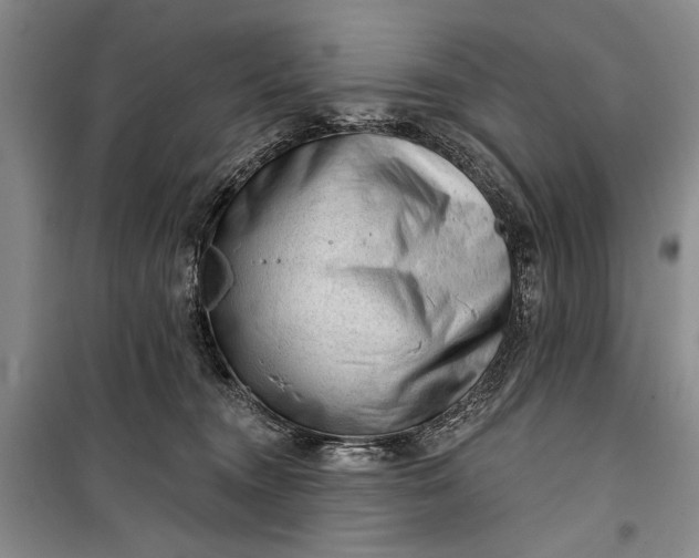 X0000100200372200806131235