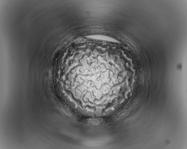 X0000100200373200806131235