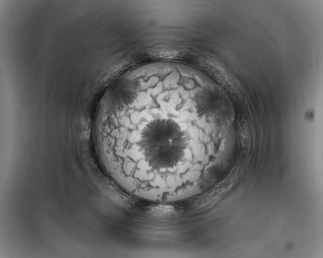 X0000100200374200806131235