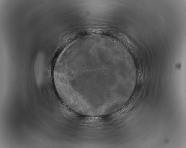 X0000100200377200806131235