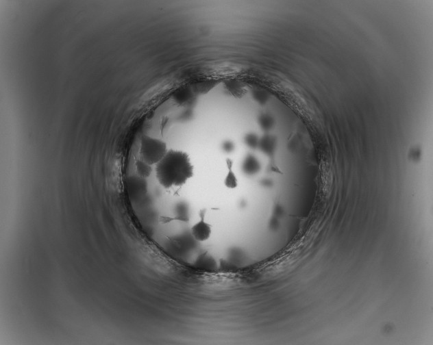 X0000100200378200806131235