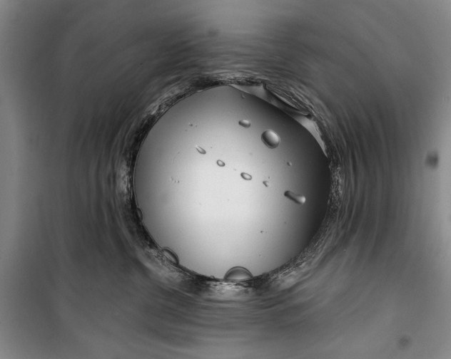 X0000100200380200806131235