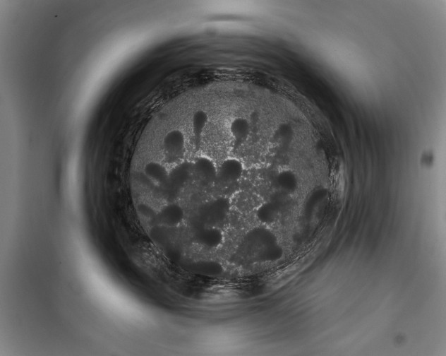 X0000100200381200806131235