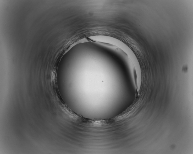 X0000100200382200806131235