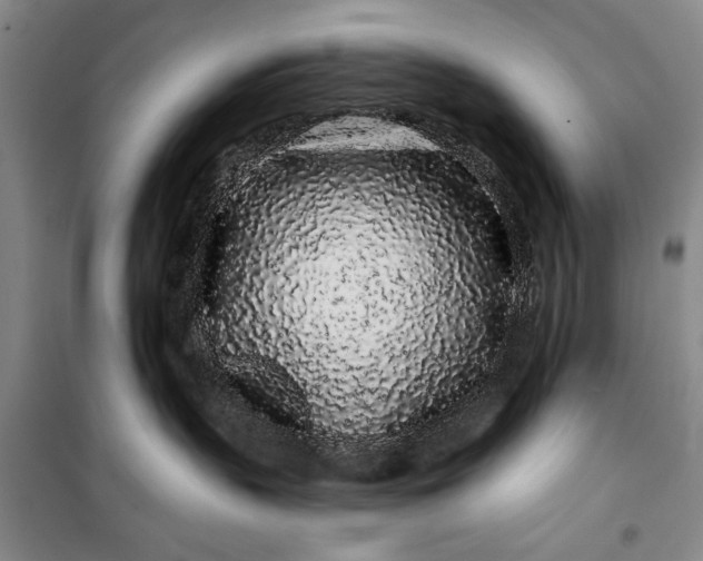 X0000100200383200806131235