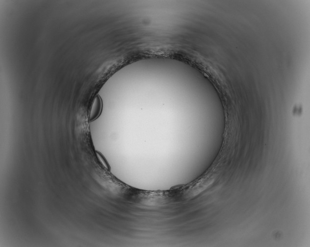 X0000100200384200806131235