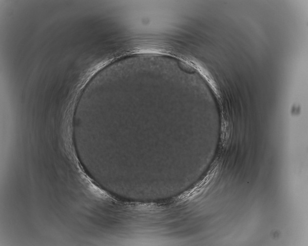 X0000100200385200806131235