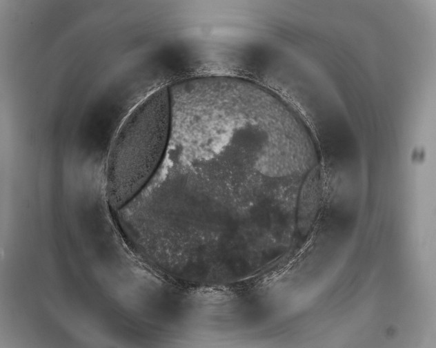 X0000100200386200806131235