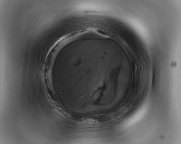 X0000100200387200806131235