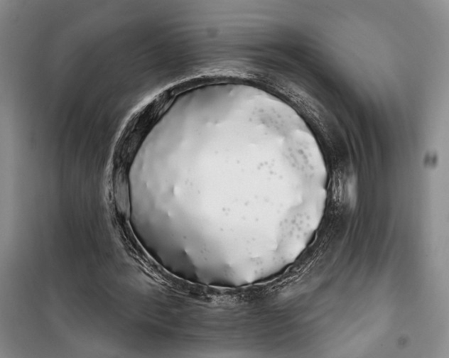 X0000100200388200806131234