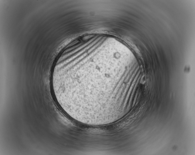 X0000100200389200806131234