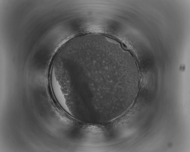 X0000100200390200806131234