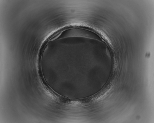 X0000100200391200806131234