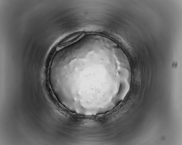 X0000100200392200806131234