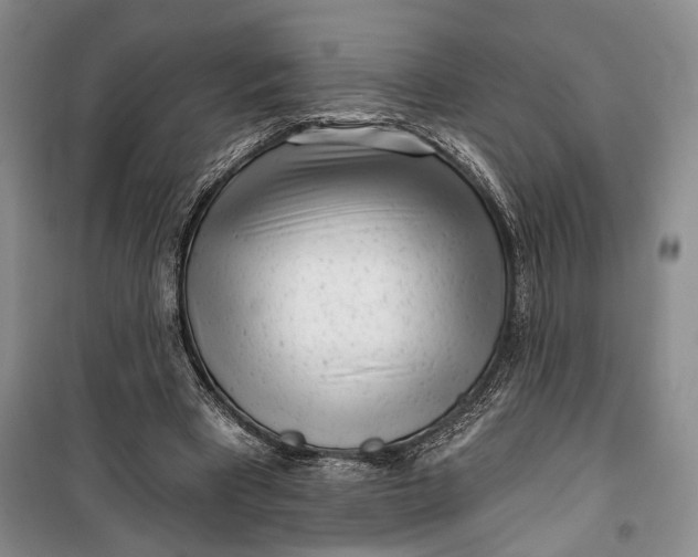 X0000100200393200806131234