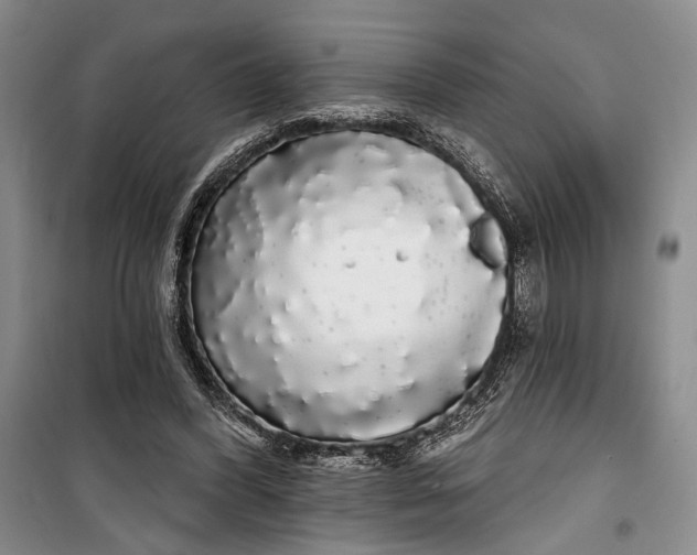 X0000100200396200806131234