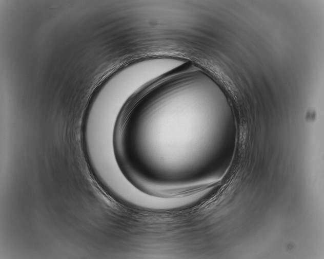 X0000100200397200806131234