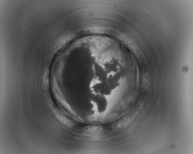 X0000100200398200806131234