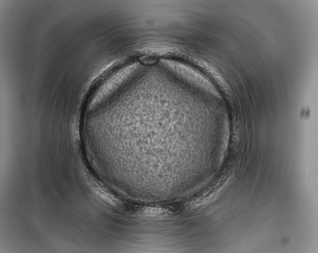 X0000100200399200806131234