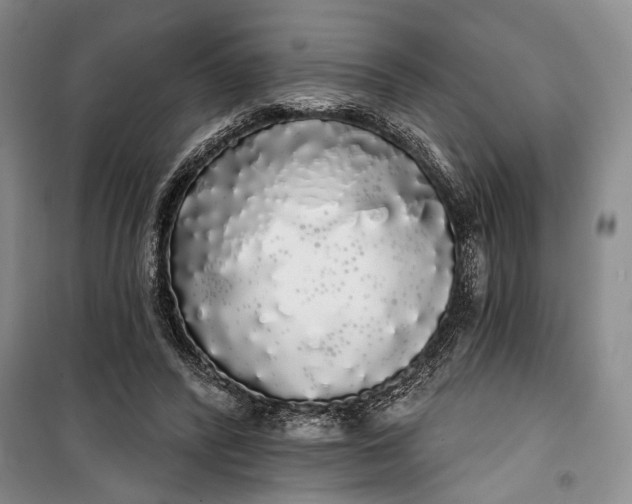 X0000100200400200806131234