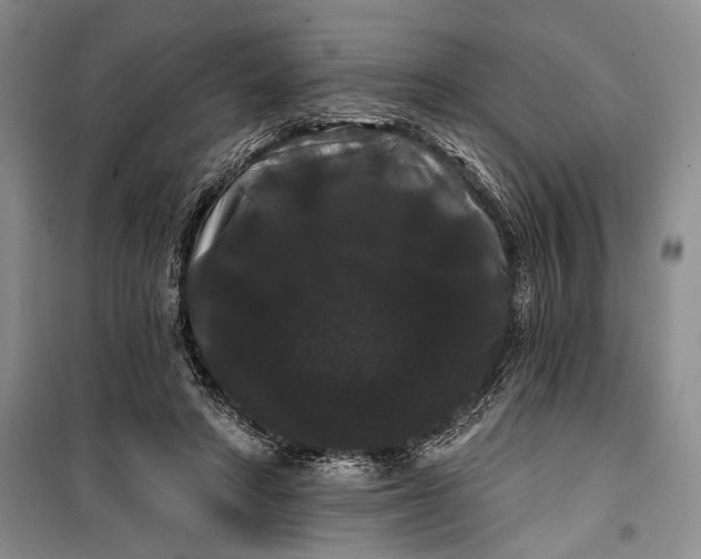 X0000100200402200806131234