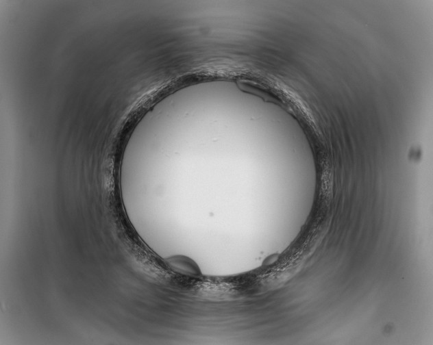 X0000100200403200806131234