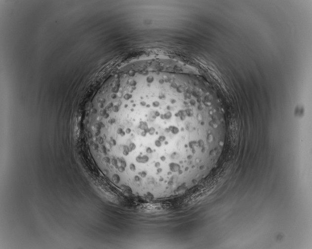 X0000100200406200806131234