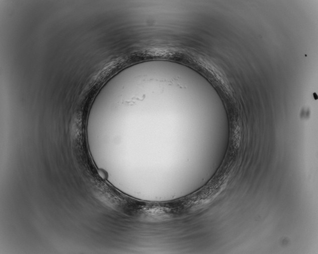 X0000100200407200806131234