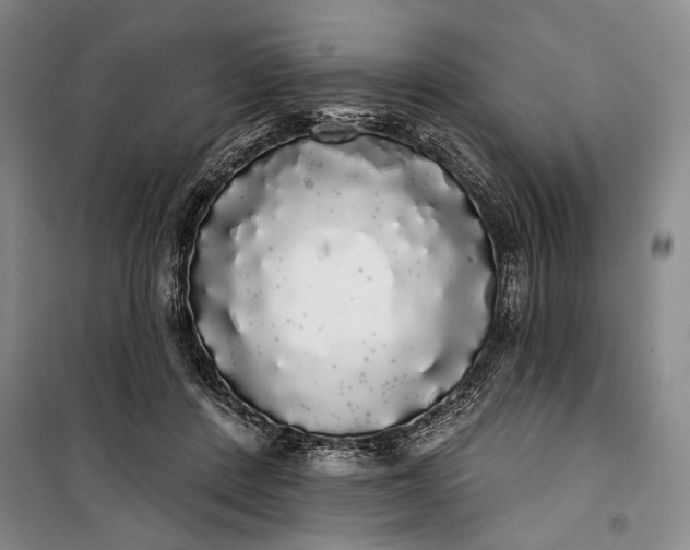 X0000100200408200806131234