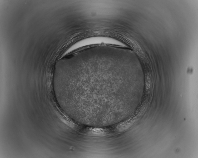 X0000100200409200806131234