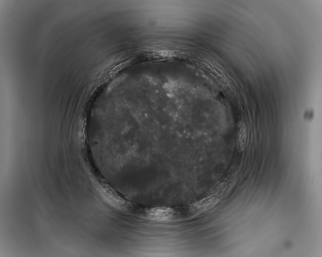 X0000100200410200806131234