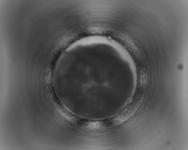 X0000100200411200806131234