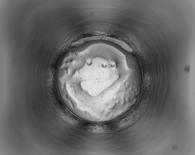 X0000100200412200806131234