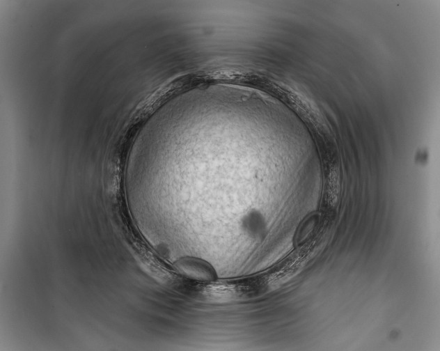 X0000100200413200806131234