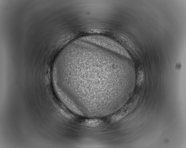 X0000100200414200806131234