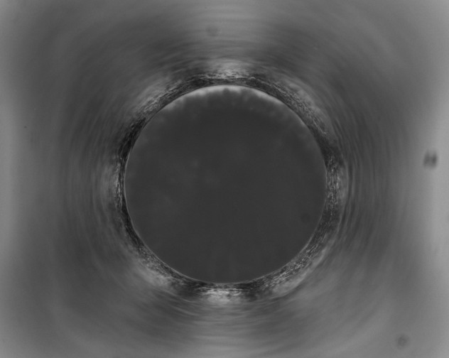 X0000100200415200806131234