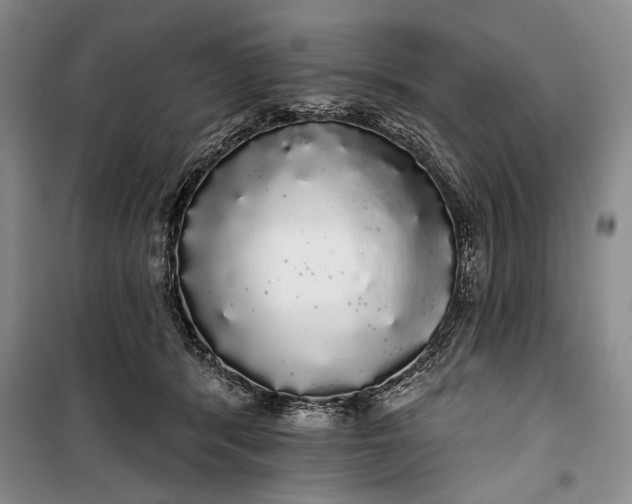 X0000100200416200806131234