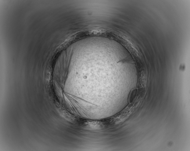 X0000100200417200806131234