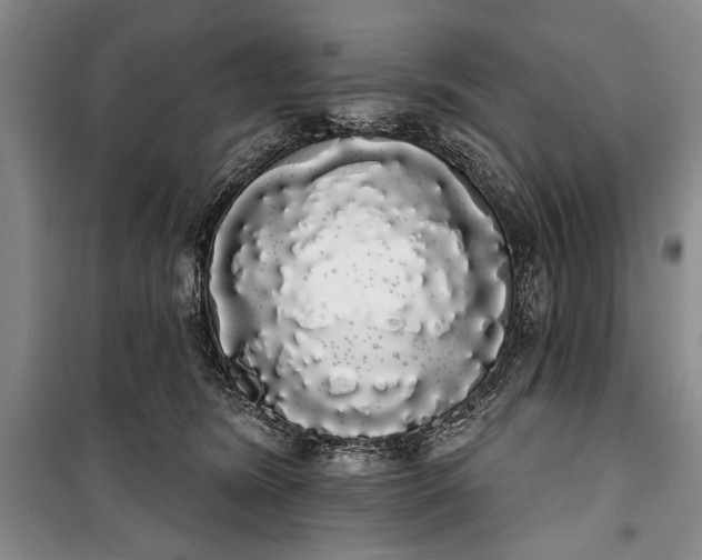 X0000100200420200806131234