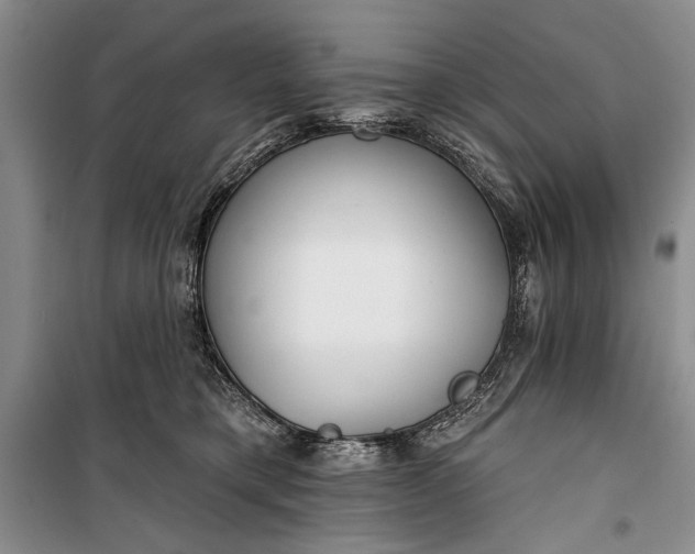 X0000100200421200806131234