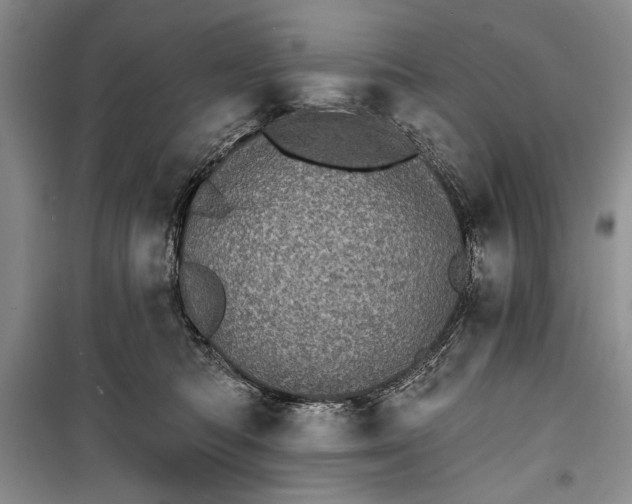 X0000100200422200806131234