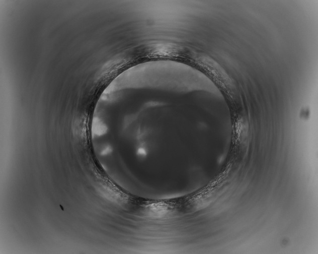 X0000100200423200806131234