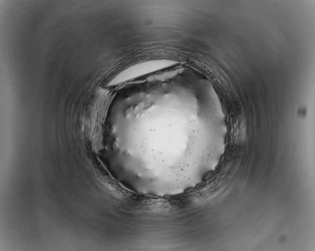 X0000100200424200806131234